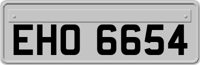 EHO6654