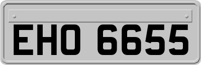 EHO6655