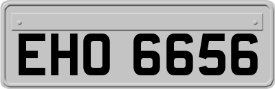 EHO6656