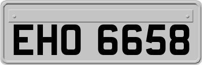 EHO6658