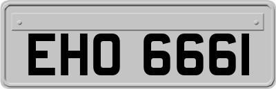 EHO6661