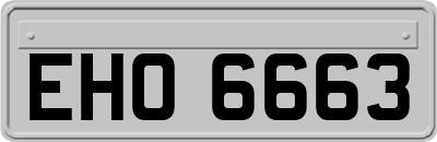 EHO6663