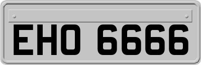 EHO6666