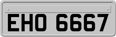 EHO6667