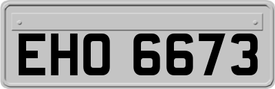 EHO6673