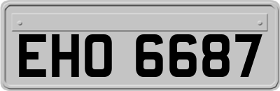 EHO6687