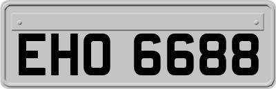 EHO6688