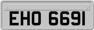 EHO6691