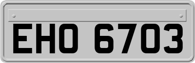 EHO6703