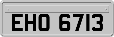 EHO6713