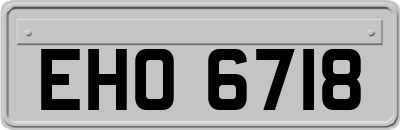 EHO6718