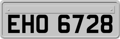 EHO6728
