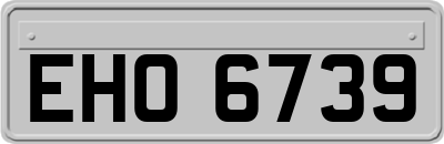 EHO6739