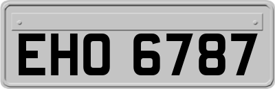 EHO6787