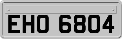 EHO6804