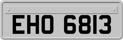 EHO6813