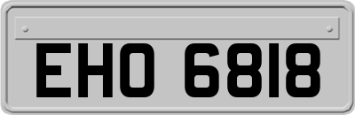 EHO6818