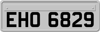 EHO6829