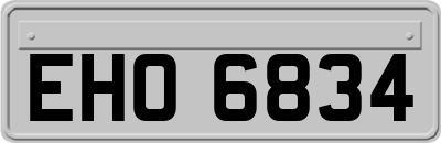 EHO6834
