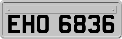 EHO6836