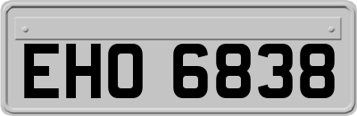 EHO6838