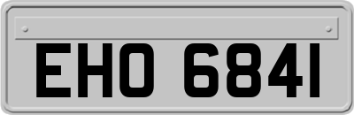 EHO6841