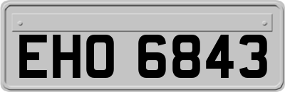 EHO6843