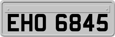 EHO6845