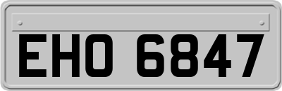 EHO6847
