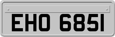 EHO6851