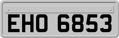 EHO6853