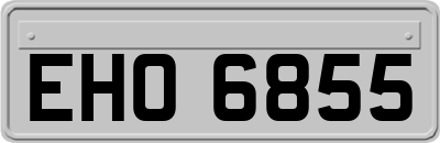 EHO6855