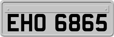 EHO6865