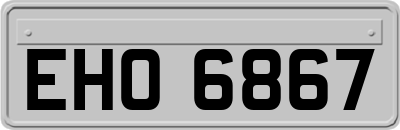 EHO6867