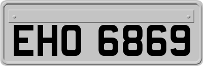EHO6869