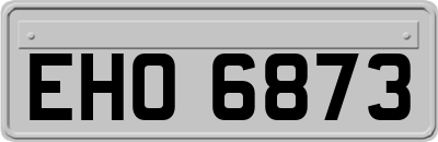 EHO6873