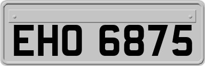 EHO6875