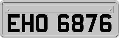 EHO6876