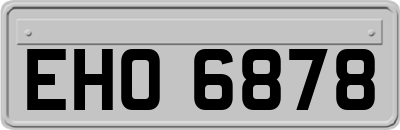 EHO6878