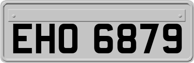 EHO6879