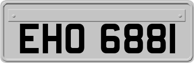 EHO6881