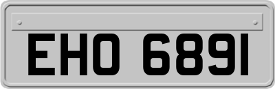 EHO6891