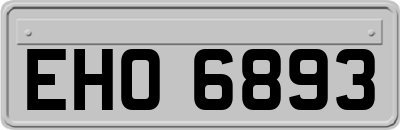EHO6893