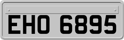EHO6895
