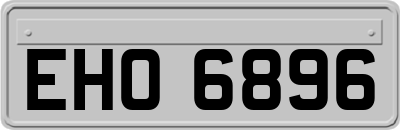 EHO6896