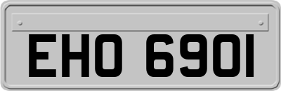 EHO6901