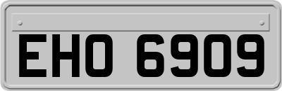 EHO6909