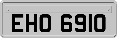 EHO6910
