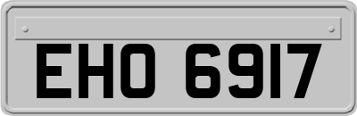 EHO6917