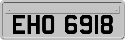 EHO6918